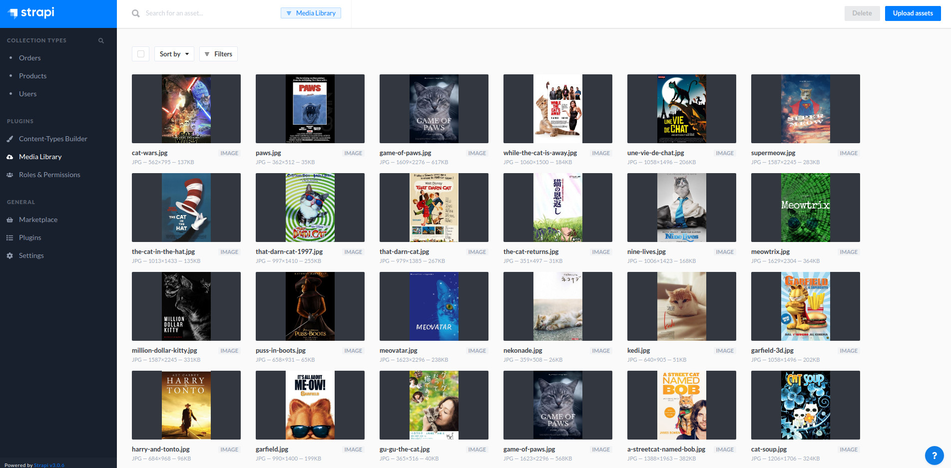 meowflix strapi admin panel